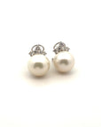 Aros Perla Queen