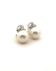 Aros Perla Queen