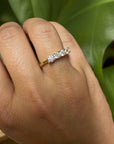 A pedido - Anillo Cintillo Brillantes en Grifa 0,20 ct