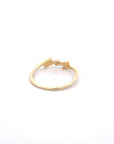 Anillo Oro Amarillo Doble Rayo