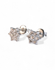 Aros Flor de Circón de Plata 925 Plateados