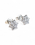 Aros Flor de Circón de Plata 925 Plateados