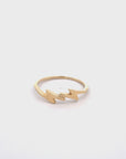 Anillo Oro Amarillo Doble Rayo