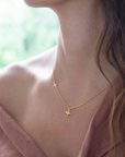 Collar Star