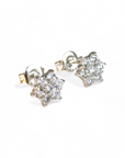 Aros Flor de Circón de Plata 925 Plateados