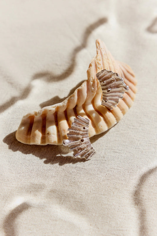 Aros caracola Plata - Tita Cardemil