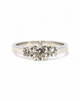 Anillo Tricillo Diamantes naturales y argolla lisa de platino