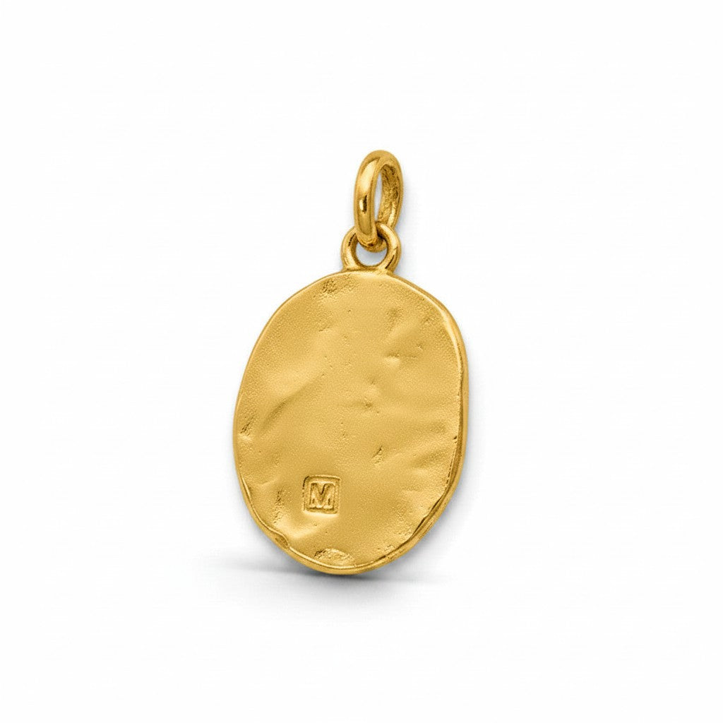 Colgante amuleto Sophia Schneider Joyas de plata enchapada en oro con textura irregular y sello distintivo