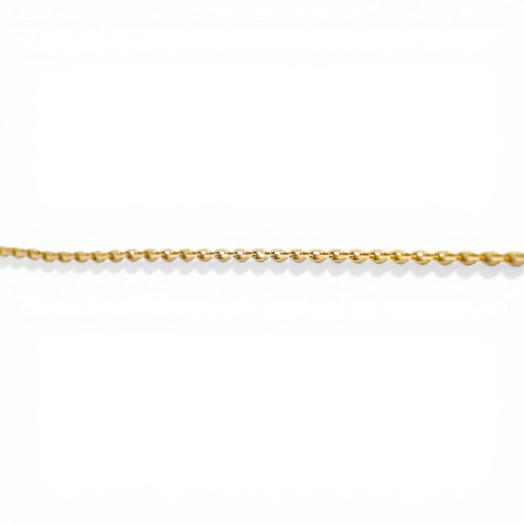 Sophia Schneider Joyas 18K yellow gold link chain necklace, 39 cm long with spring ring clasp.