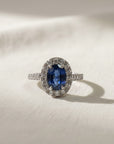 Anillo de platino Sophia Schneider Joyas con zafiro oval azul de 9x7 mm rodeado de diamantes en halo y brillantes en la argolla.